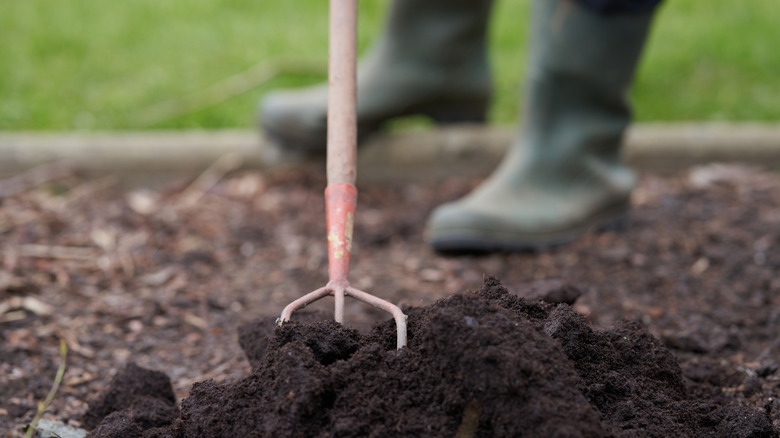 Person working fresh topsoil into garden soil with garden implement.