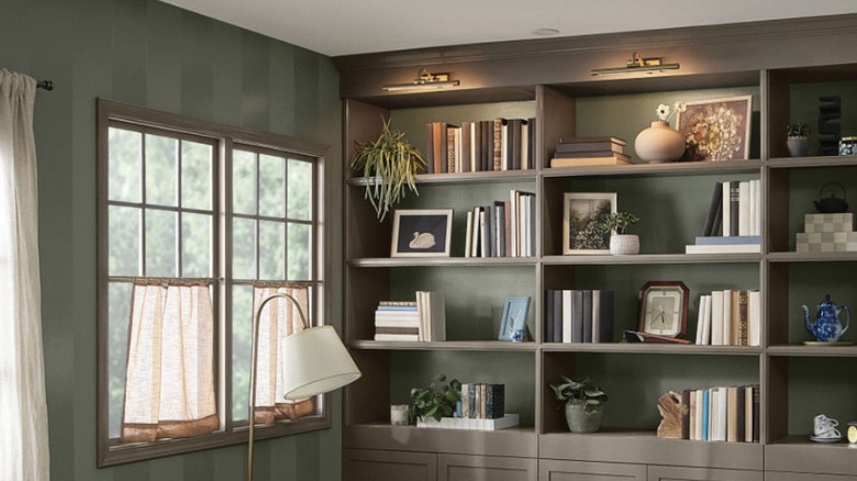 A wall and bookshelves painted with Valspar's Warm Eucalyptus, 2026's paint colour of the year.