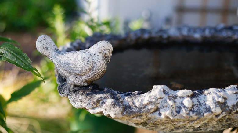 A stone bird bath with a small bird carving stands in a yard with green leaves around it.
