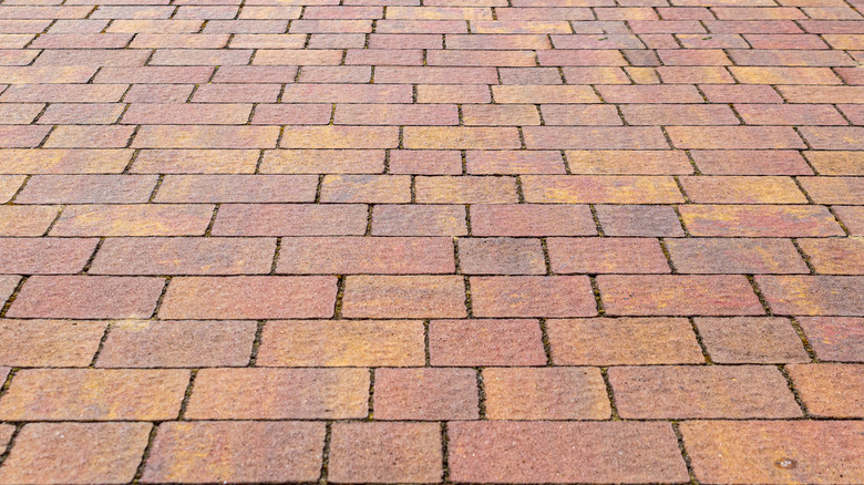 close-up of a walkway of brick pavers