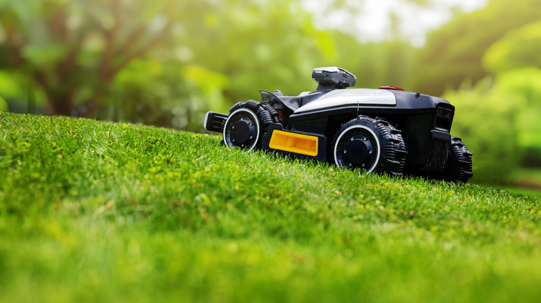 A small robot lawn mower is scaling a sloped lawn