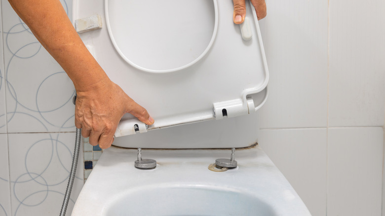 removing toilet seat