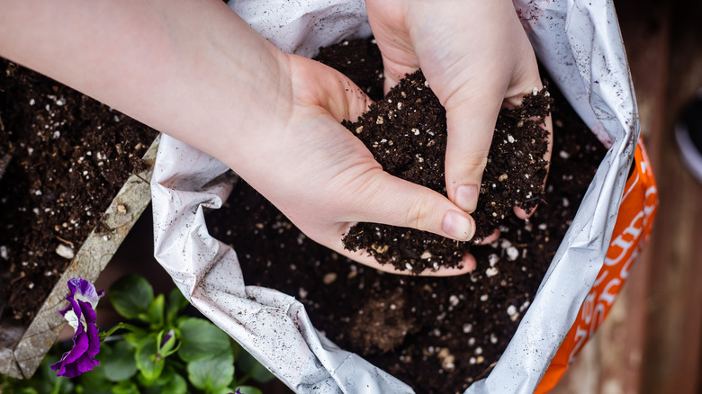 A gardener grabbing potting mix from bag with their hands