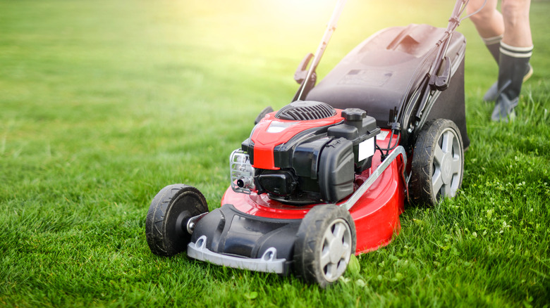 Lawn mower on green grass