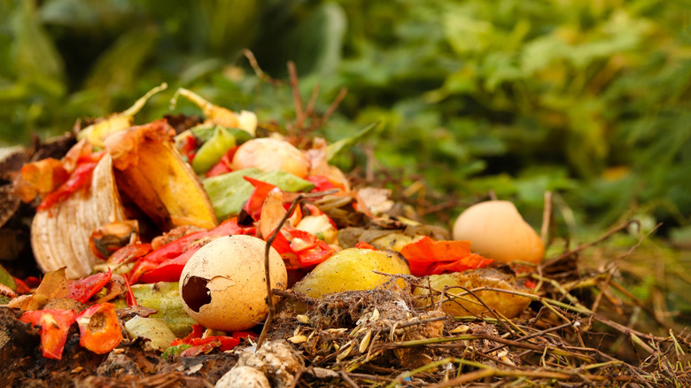 A stack of compost with food scraps like egg shells and banana peels on top and sticks underneath.