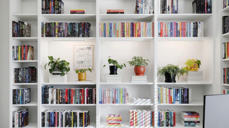A white bookcase in a home library full of books and a few houseplants