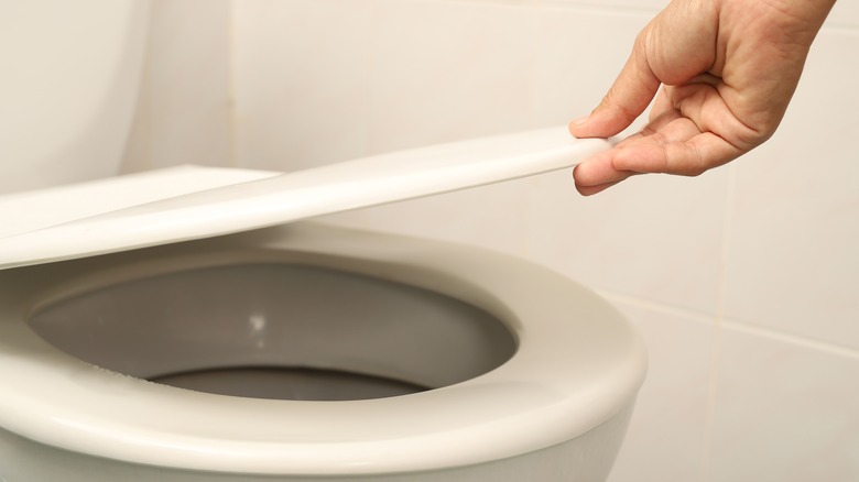 Person closing toilet seat