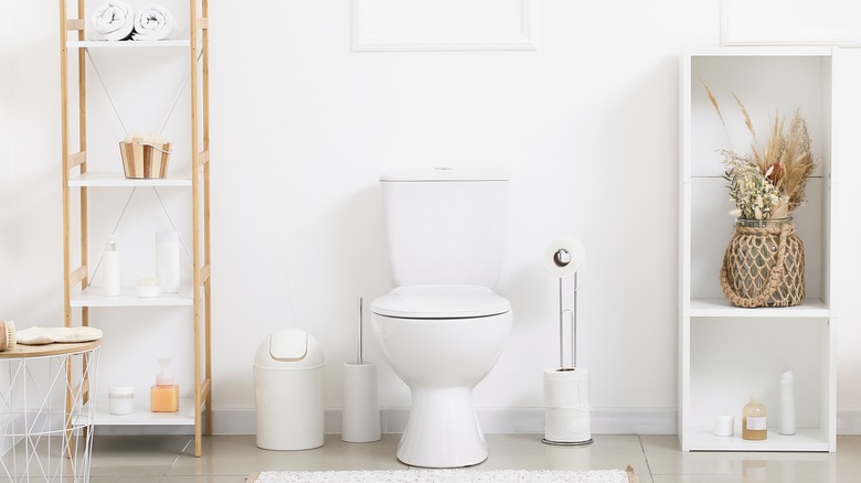Bathroom with freestanding toilet paper holder