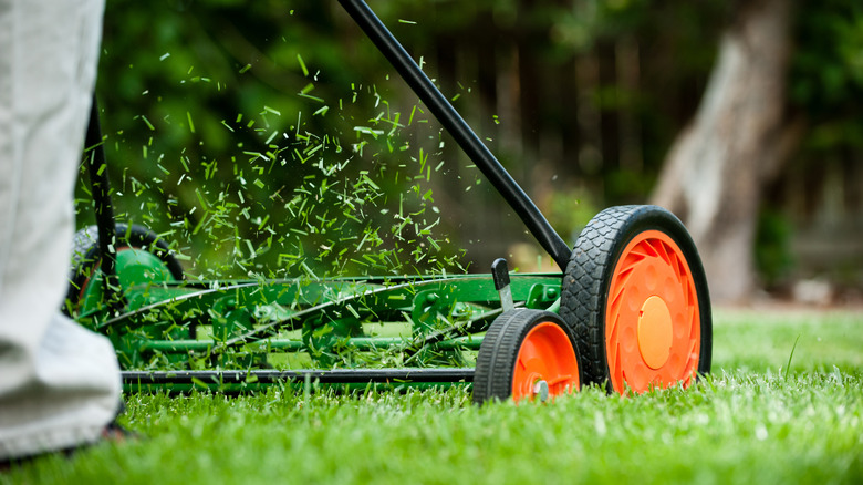 person mowing lawn