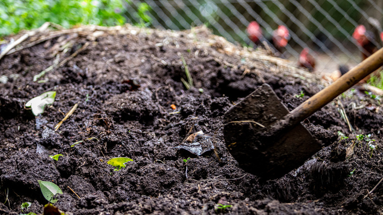 Shovel in a compost bin with a fence in the background