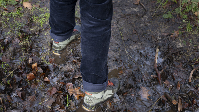 Person walking on a muddy path