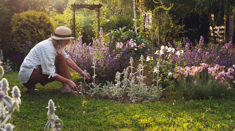 Woman pulling weeds from a flower garden