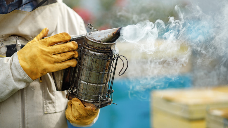 Beekeeper in protective gear holding a bee smoker