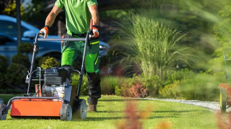 Close-up of lush green grass on a well-maintained lawn