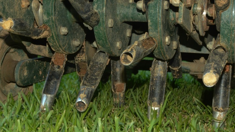 Close-up of aerator machine tines on green grass.