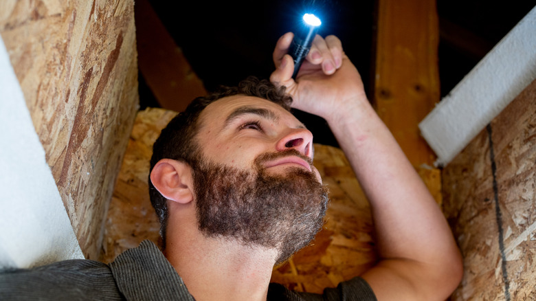 A man looking up into an attic with a flashlight in hand.