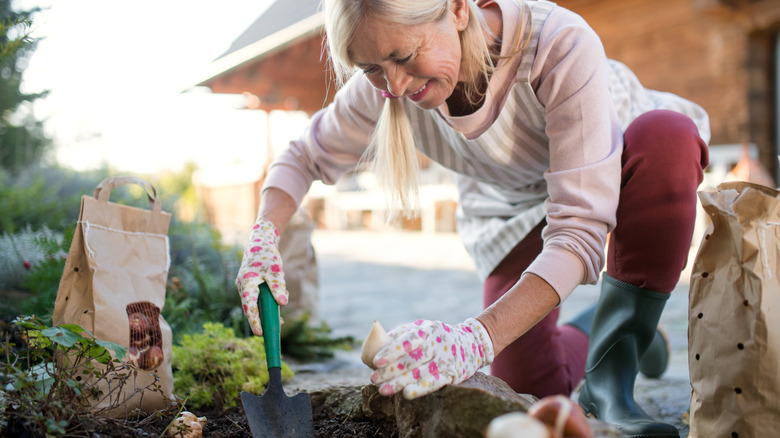 A woman planting fall bulbs in a garden.