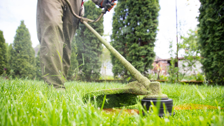 person mowing lawn 