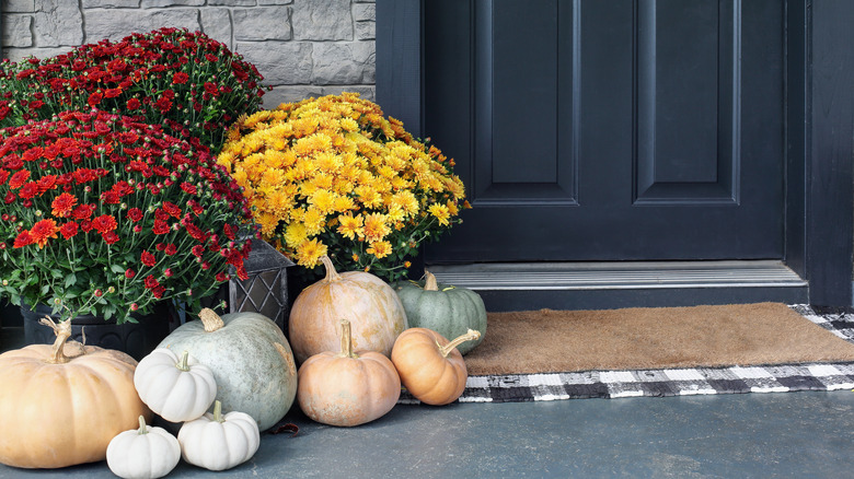 Chrysanthemums and pumpkins on porch