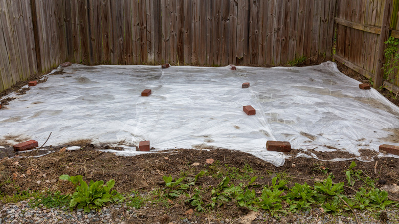 Plastic tarp weighed down by bricks in a backyard.