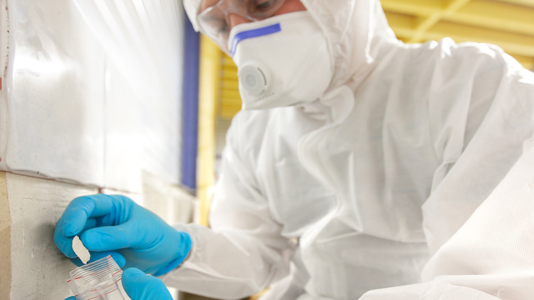 Person testing material for asbestos