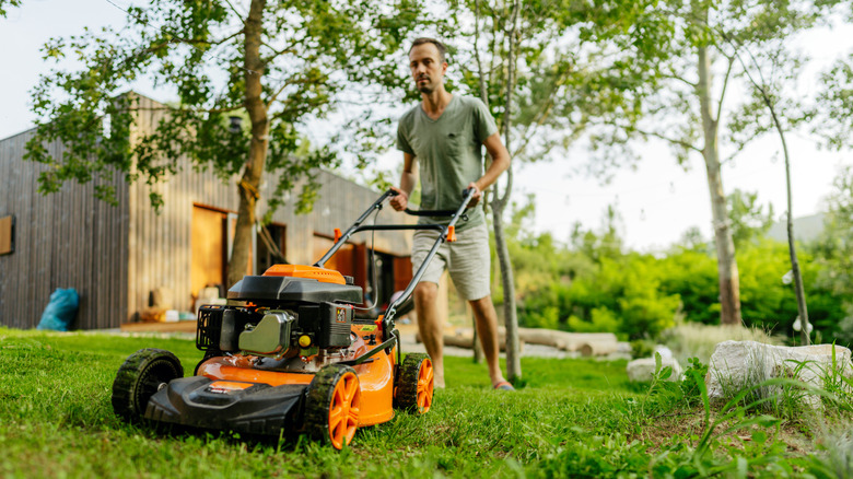 Man mowing the lawn in shorts