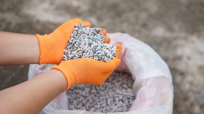 Close up of someone holding dry fertilizer