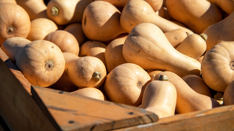 A wooden box full of butternut squash