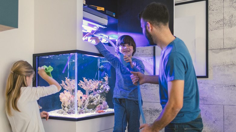 Family filling fish tank