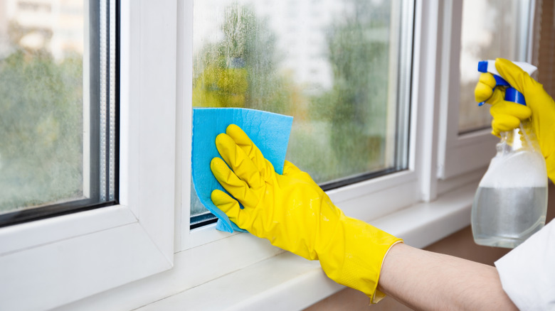 Person holding a spray bottle and cleaning pad to clean window