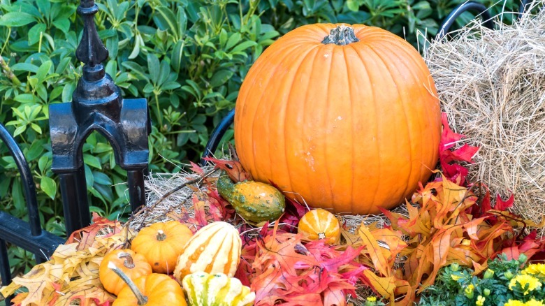 Pumpkins sitting on a layer of hay next to iron fence