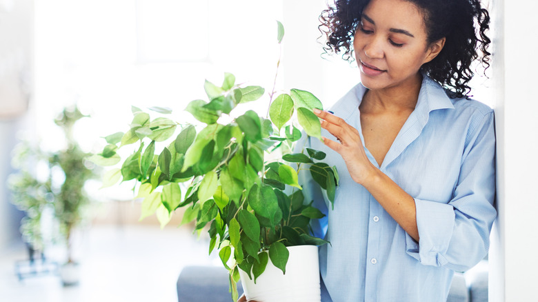 Woman holding fake plant