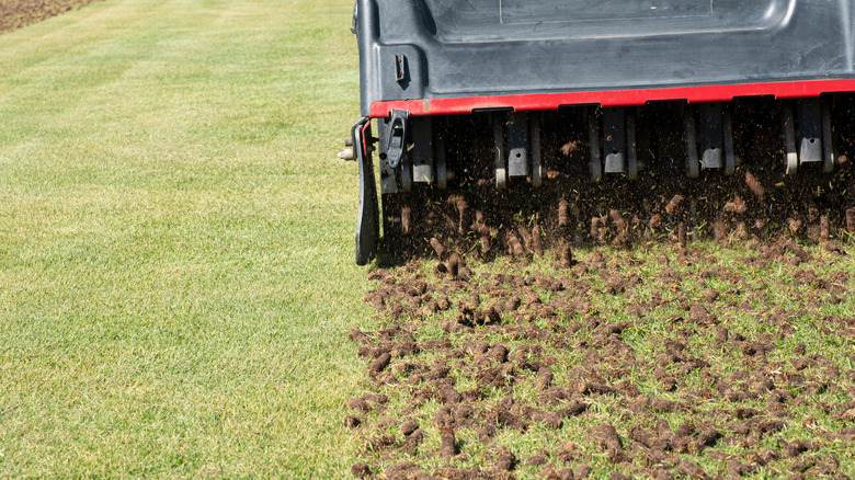 person aerating a lawn