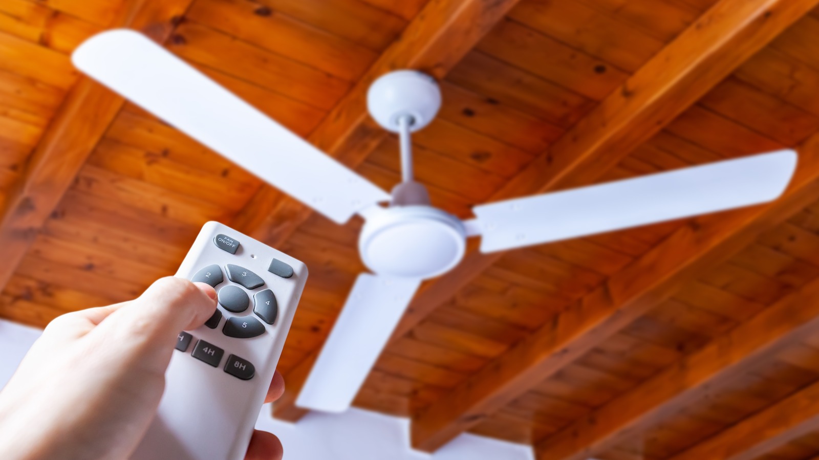 Which Direction Should Your Fan Spin For The Summer, Or Does It Matter?