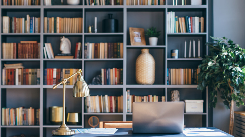 Bookshelves behind desk