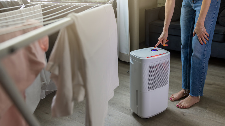 A woman setting up a dehumidifier in a room