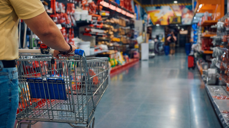 A person pushing a shopping cart at a hardware store