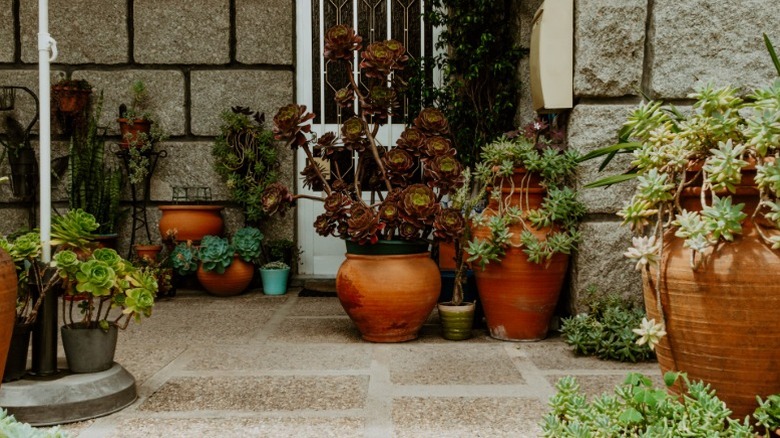 Ceramic potted plants adorn a stone house.