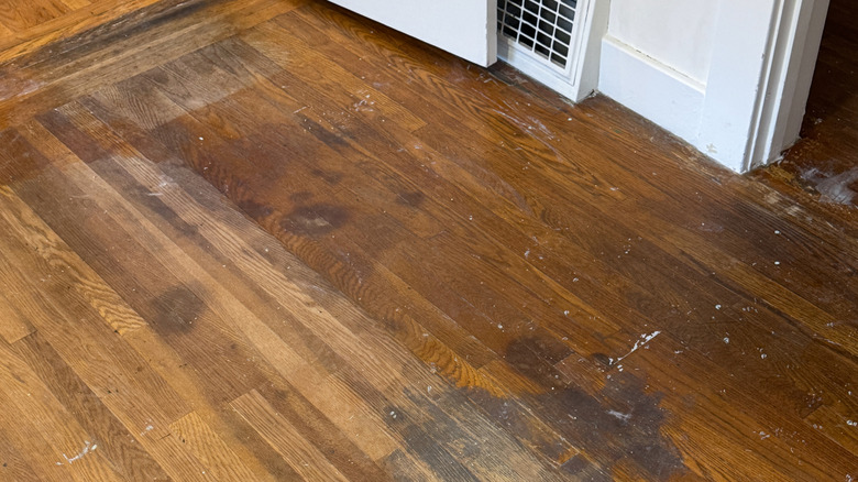 hardwood floor with various stains
