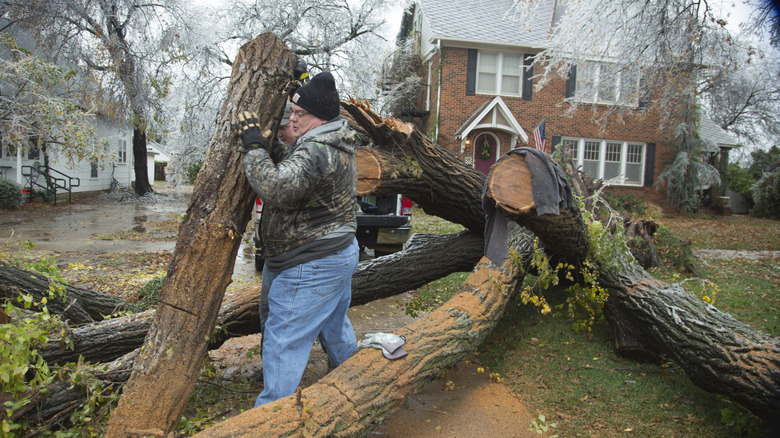 A man lifts a large fallen tree limb in front of a brick house