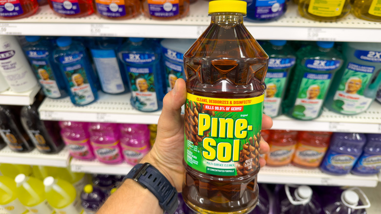 Person holding a bottle of Pine-Sol in front a store shelf full of cleaning products.