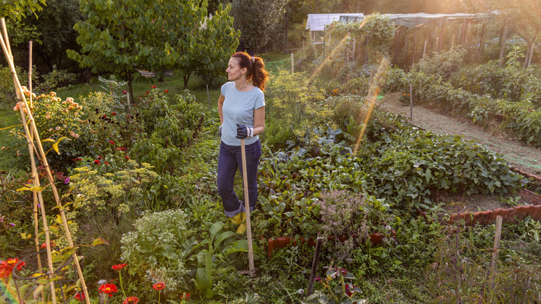 A woman holding a shovel is smiling while standing in her garden