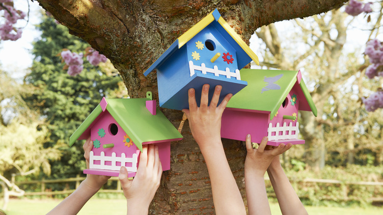 People hanging birdhouses 