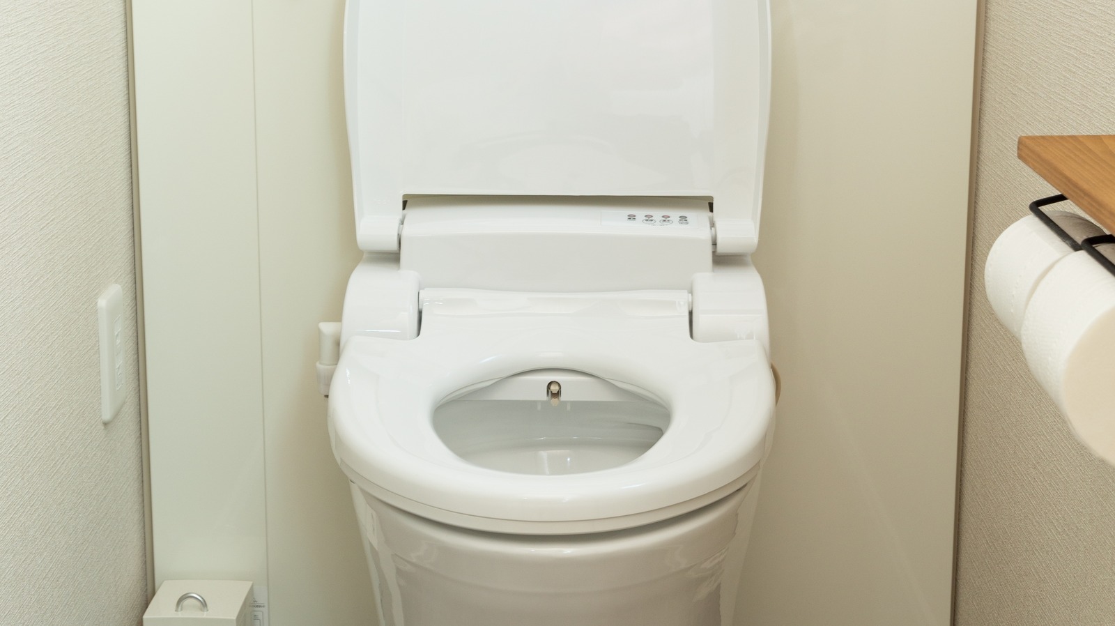 Standard Soft Padded Toilet Seat - Independent Again