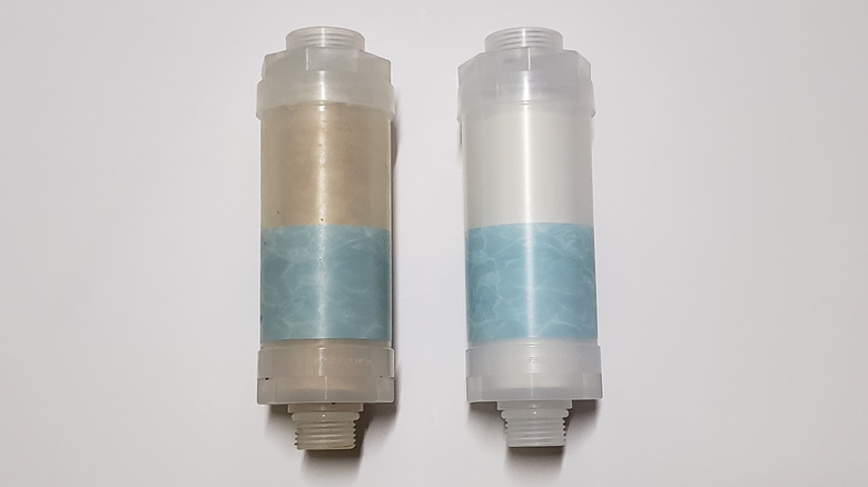 Water filters for shower head, one dirty and one clean