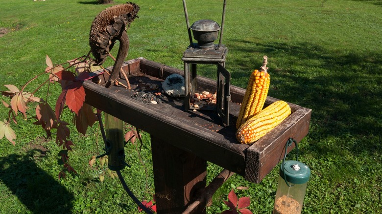 Tray bird feeder multiple foods