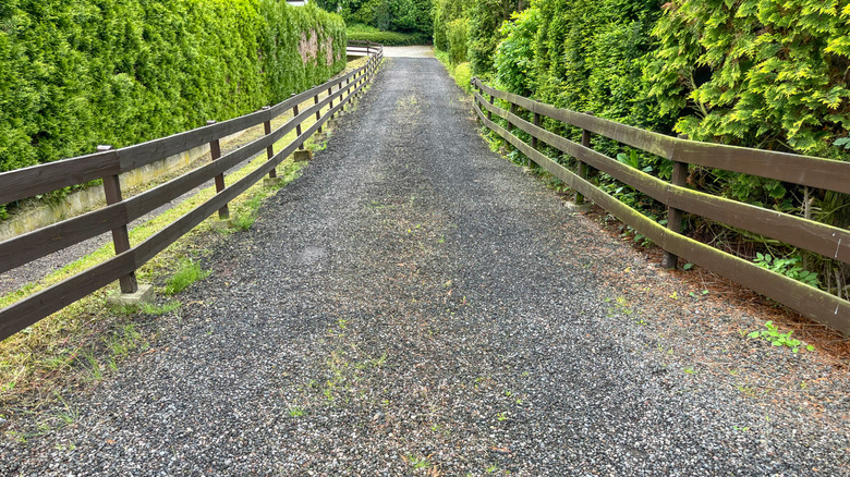 Long gravel driveway in the country with wooden fence and bushes
