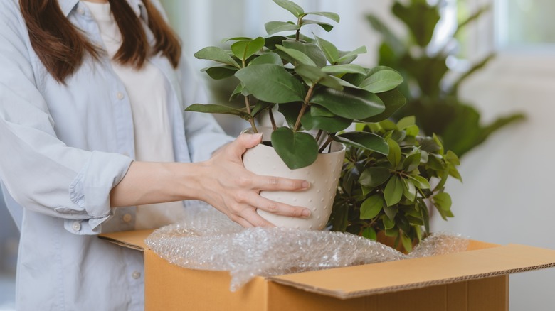 woman opening plant package