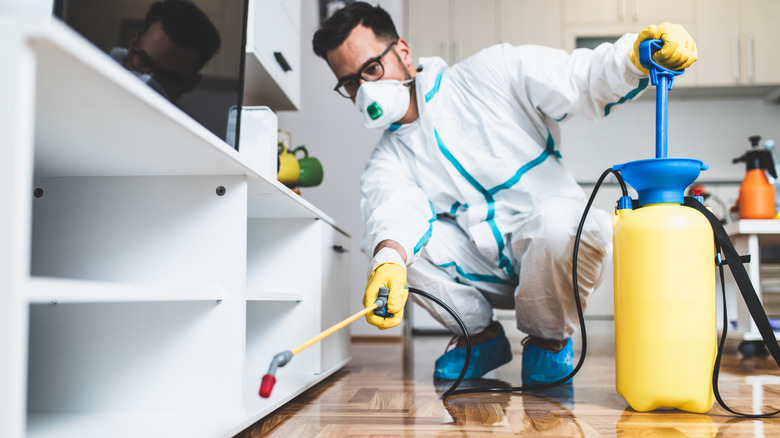 Pest control worker spraying pesticide 