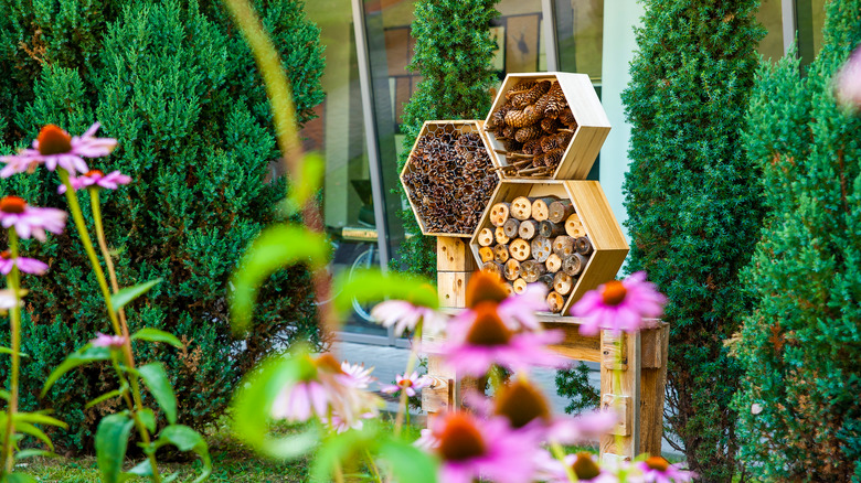 DIY homes for bees